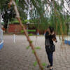sofiaag229